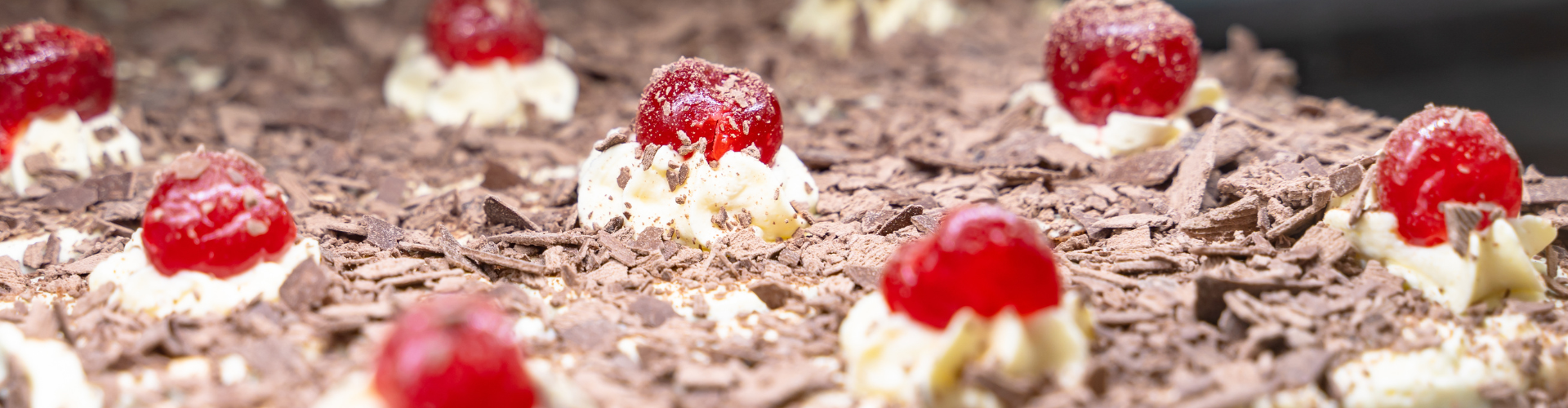 2026 Tourism Conference - FAQs Image