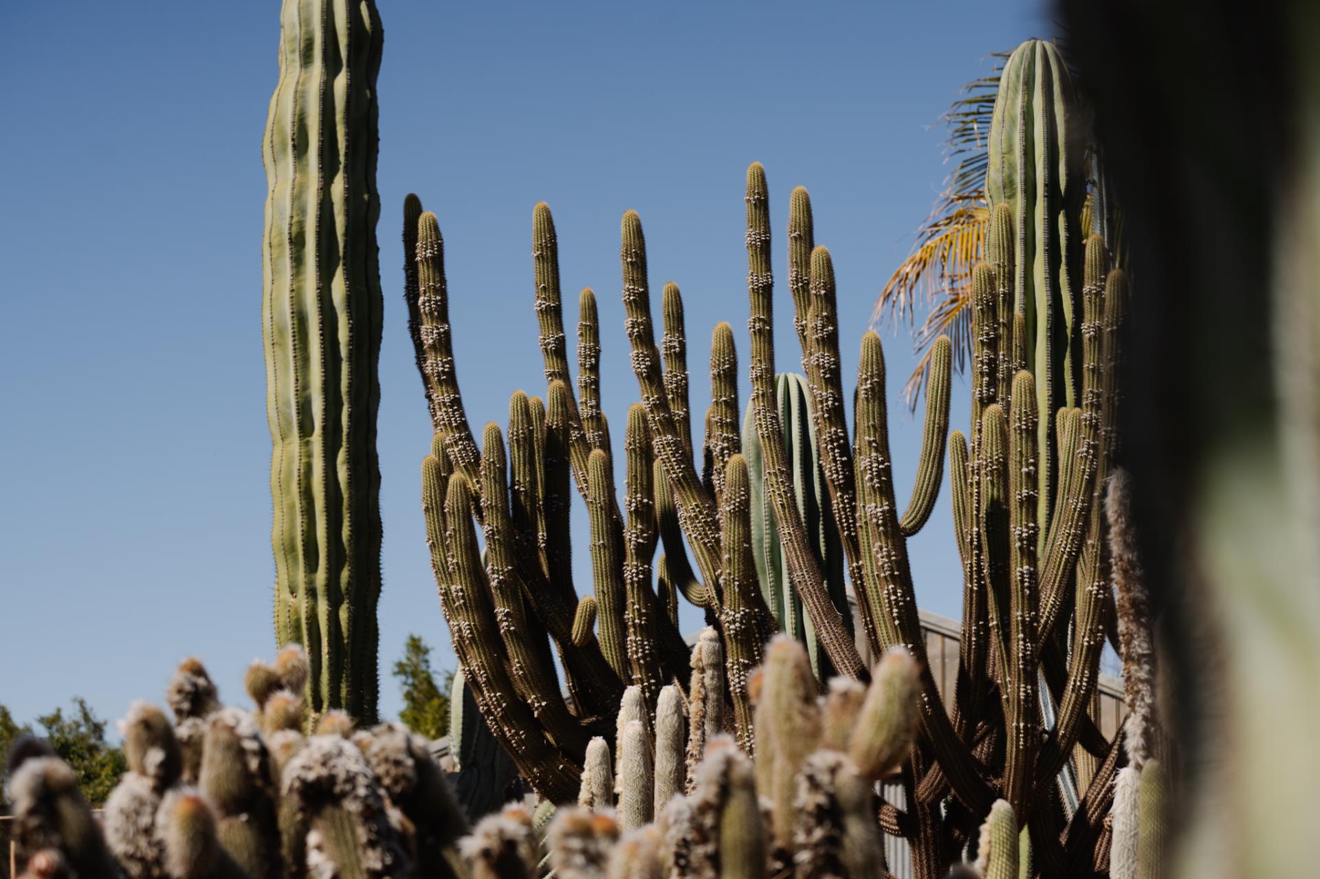 Description of image