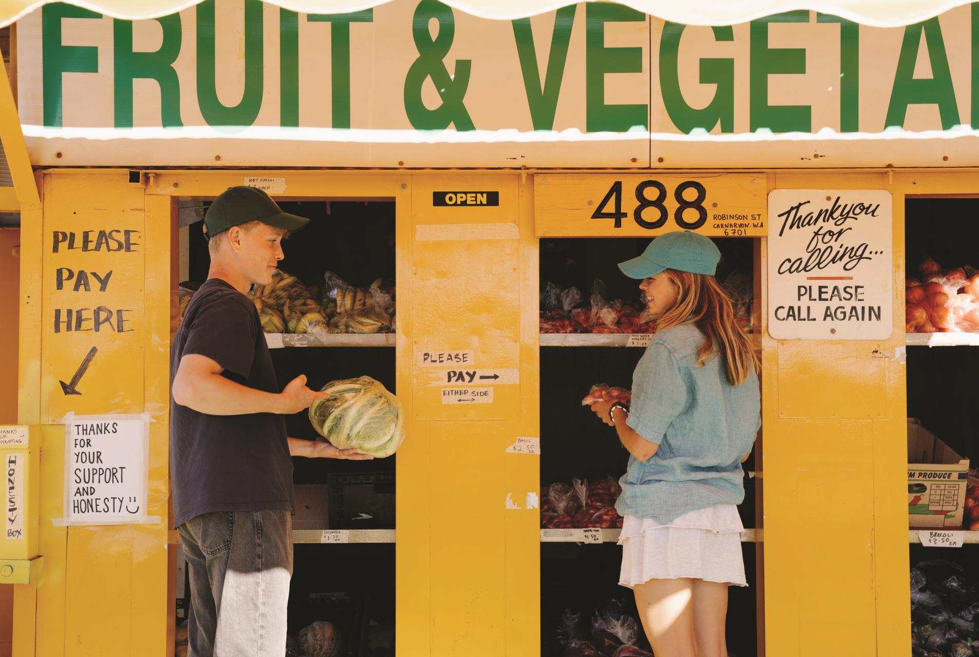 Carnarvon Fruit Loop Drive Trail Image