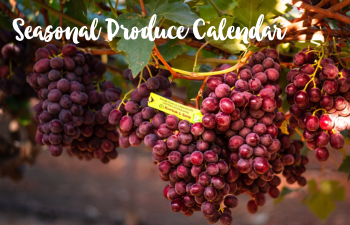 Seasonal  Produce Calendar