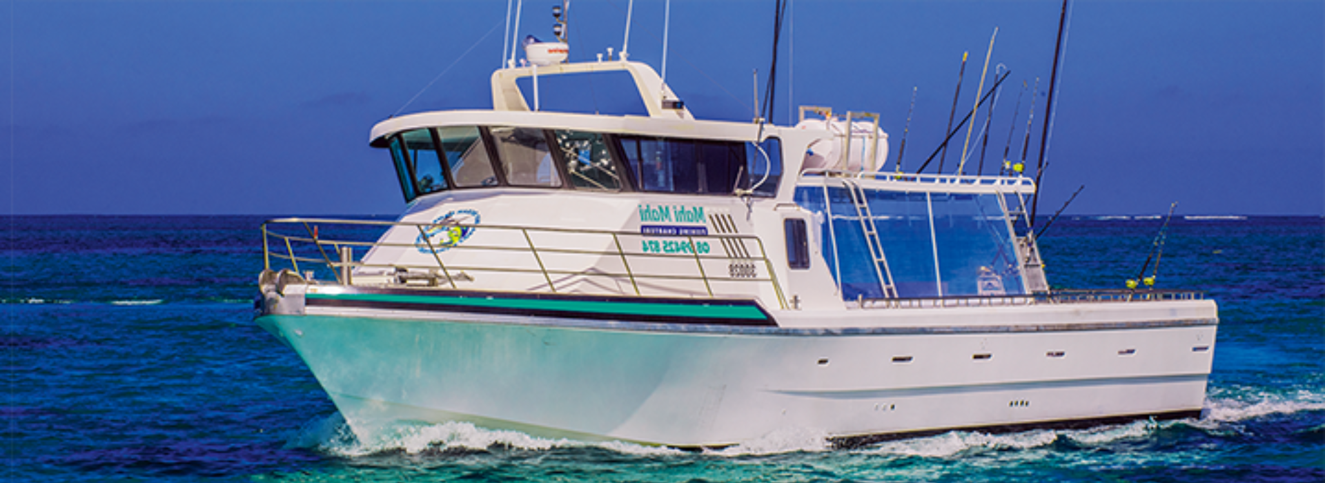 Mahi Mahi Fishing Charters Image