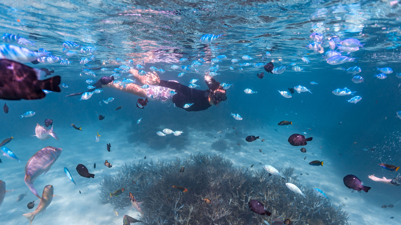 Book Your Experience Here! Image