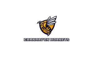 Mixed Softball Game | Carnarvon Hornets