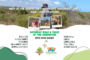 Guided Walks and Seed Collection at the Arboretum with Dave Bauer